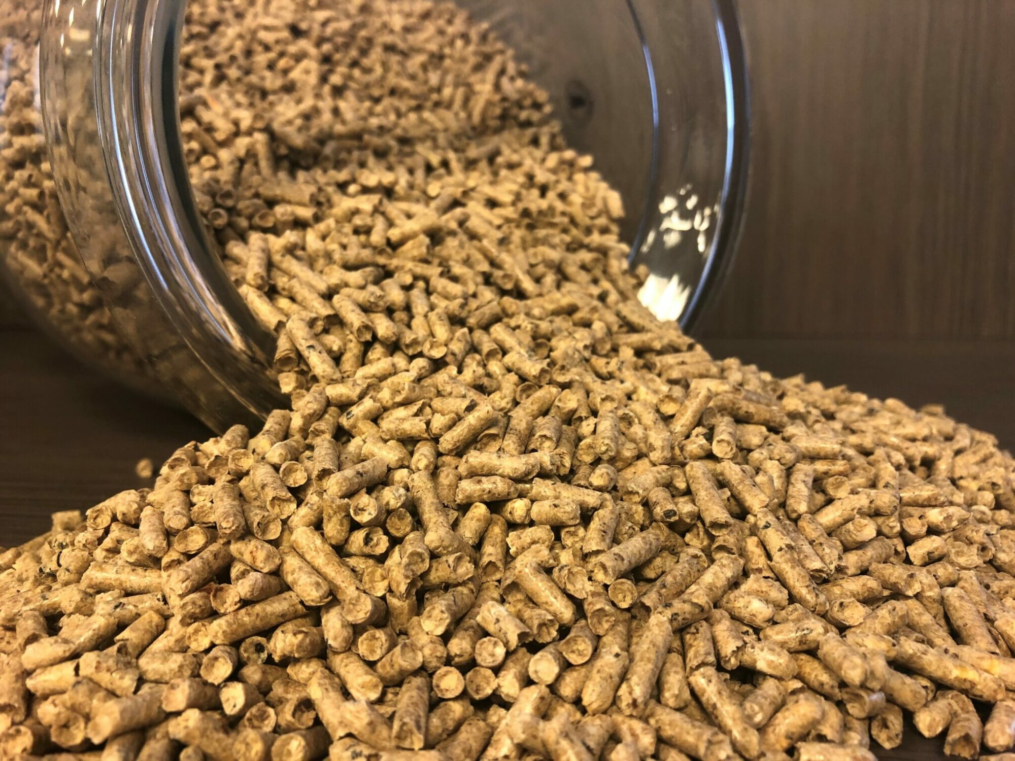 European non gmo soybean hulls (pellets)